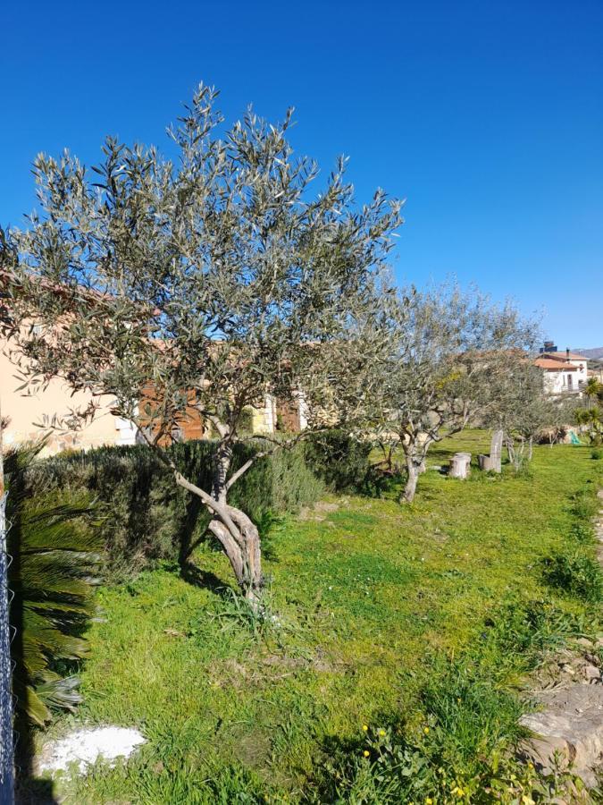 Agriturismo La Stragola Nicosia Eksteriør billede
