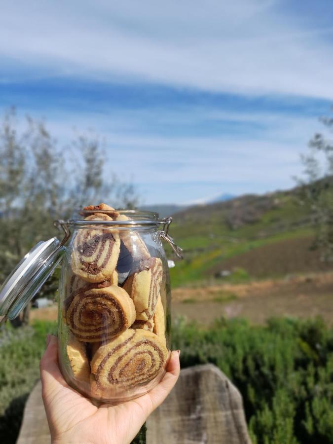 Agriturismo La Stragola Nicosia Eksteriør billede