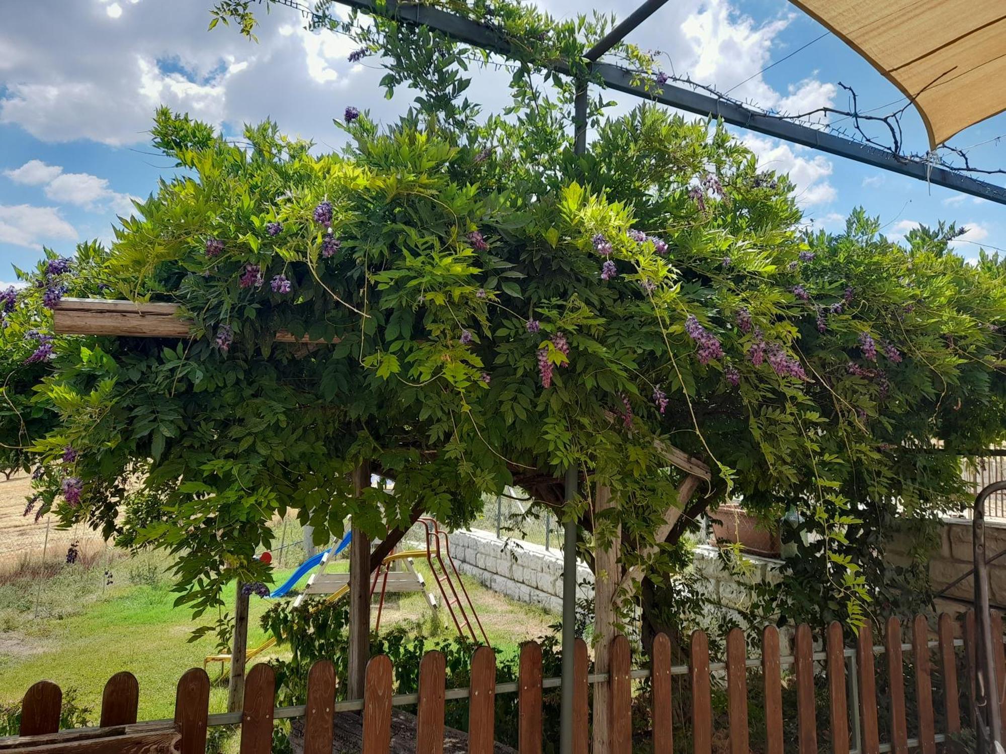 Agriturismo La Stragola Nicosia Eksteriør billede